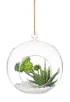 Bizzotto Decorazione sospeso per piante Bubble Roung Trasparente