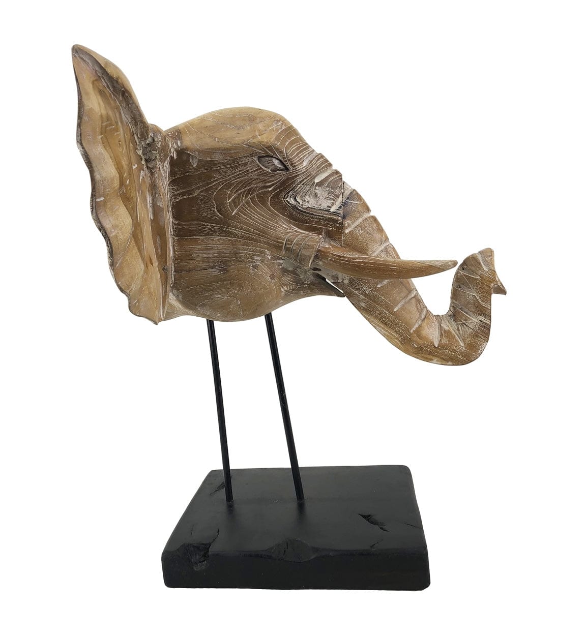 Moycor Decorazione Teak Elephant Head Naturale