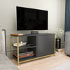 Mobile TV con 1 anta Muskegon Oro (1)