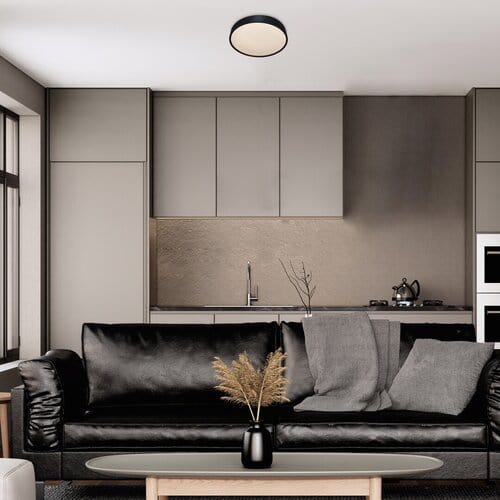 Plafoniera Larcia 75009 Nero (6)