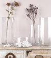Bizzotto Vaso decorativo Venice Oval L Trasparente